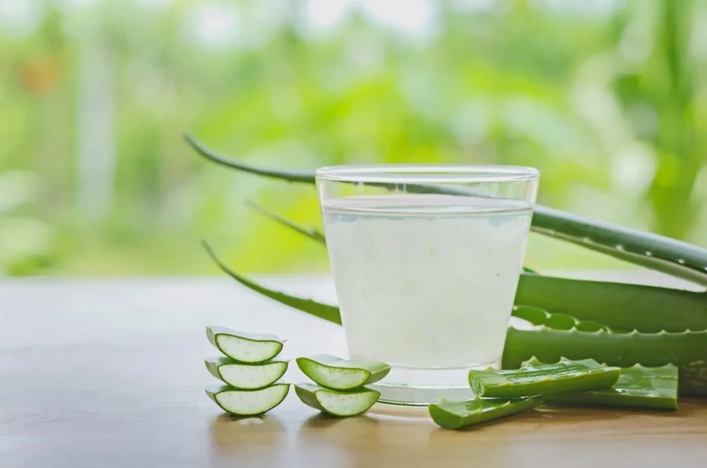 A small, clear glass of aloe vera juice sits on a table next to some full and chopped aloe vera leaves. Aloe vera juice and other summer drinks like these are good for after a spa soak.